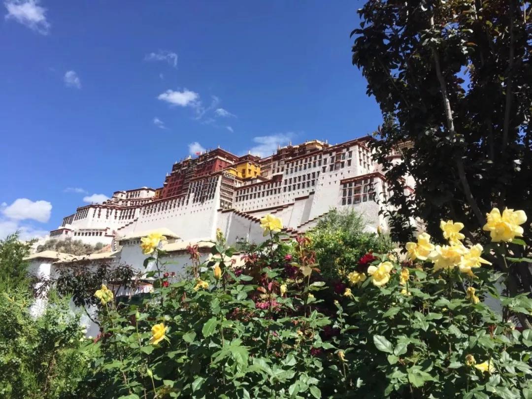 西藏活动召集丨9月8日雪山，圣洁的湖泊，可可西里，那就是西藏：川进青出自驾15日